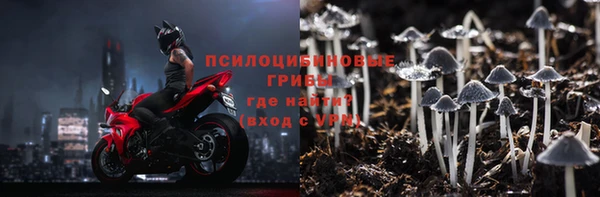 эйфоретик Белокуриха